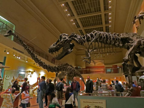 Museum of Natural History in Washington DC